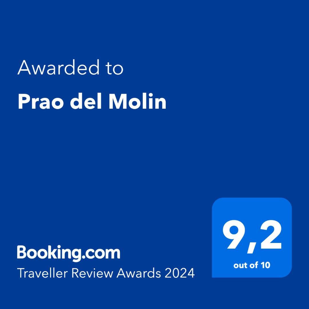 Prao Del Molin Apartment Cangas De Narcea Exterior photo